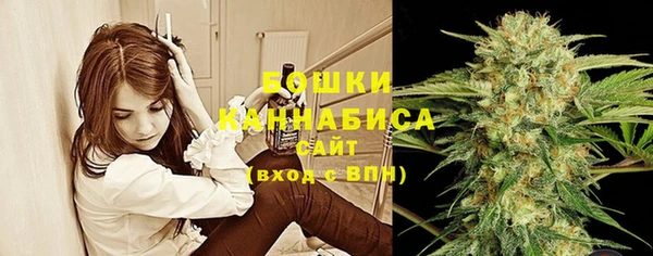 шишки Абдулино