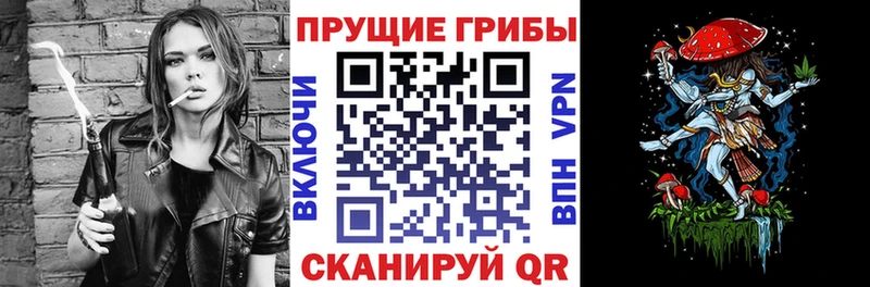 Галлюциногенные грибы Psilocybine cubensis  Ефремов 
